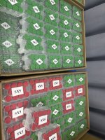 IMG_0068.jpeg IMG_0068.jpeg
