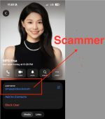 Scammer-1.png
