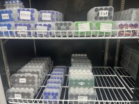 IMG_0017.jpeg