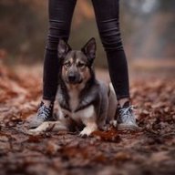 Quietly_Conquering