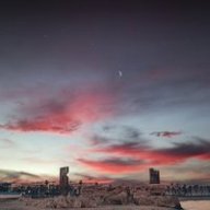 Fox_Buddy791