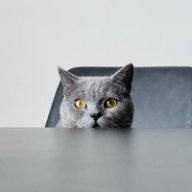 Izzy_39
