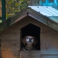 TrueCrew