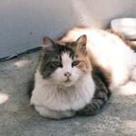 grumpy_planner77