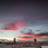 Fox_Buddy791