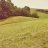 Oz_Squad_Leader