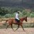 slowlypatience72