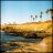Slim_Squad