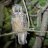 Chris_79