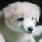 Maxie_1988