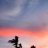 Peptide_Quest439