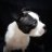 Shannon_04