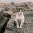 Jess_18