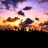 Jules1997
