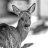 Jenny_54