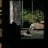 Hawk_Story798